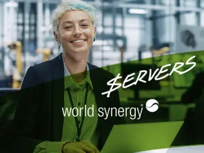 Understanding It Servers: Function and Cost of a Server