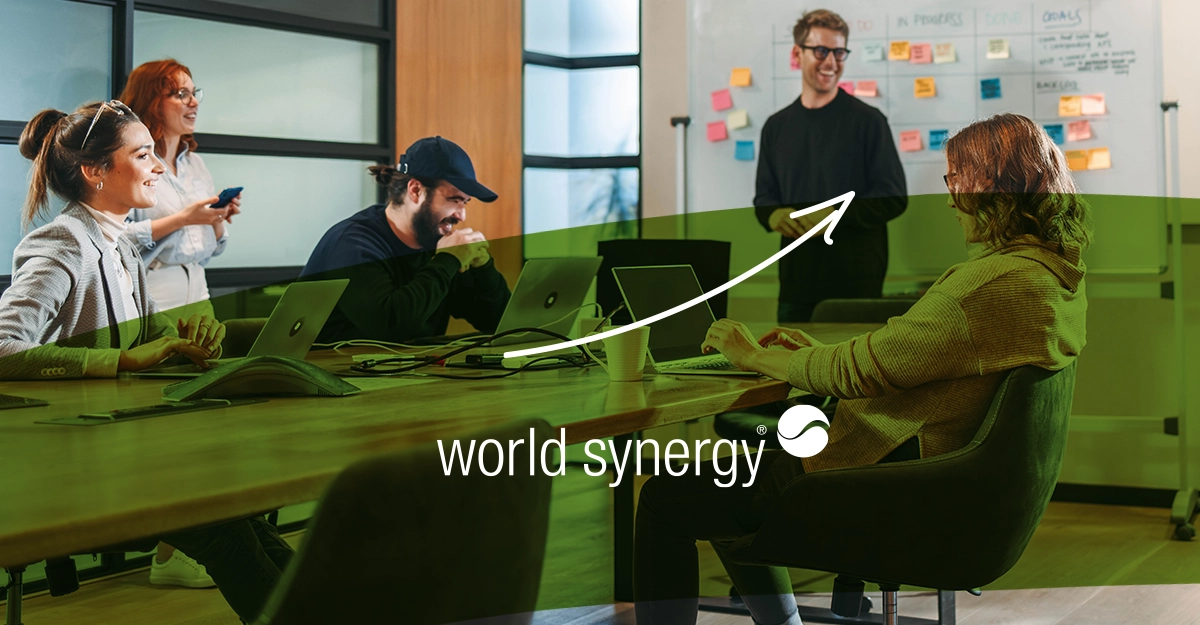 Entrepreneurial Operating System: The Backbone of World Synergy