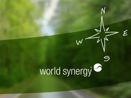 We've Moved: World Synergy Has a New Home